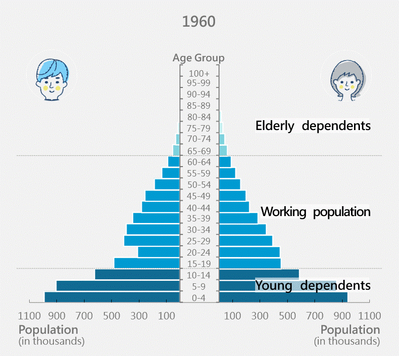 Population Pyramid